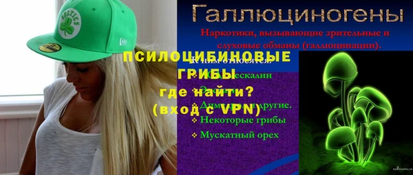 гидра Алексин